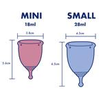 The June Cup - Mini